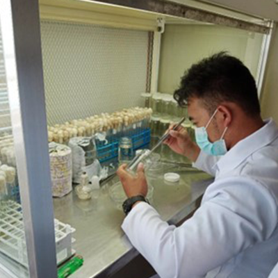 The Finest Teacher is Actual Experience