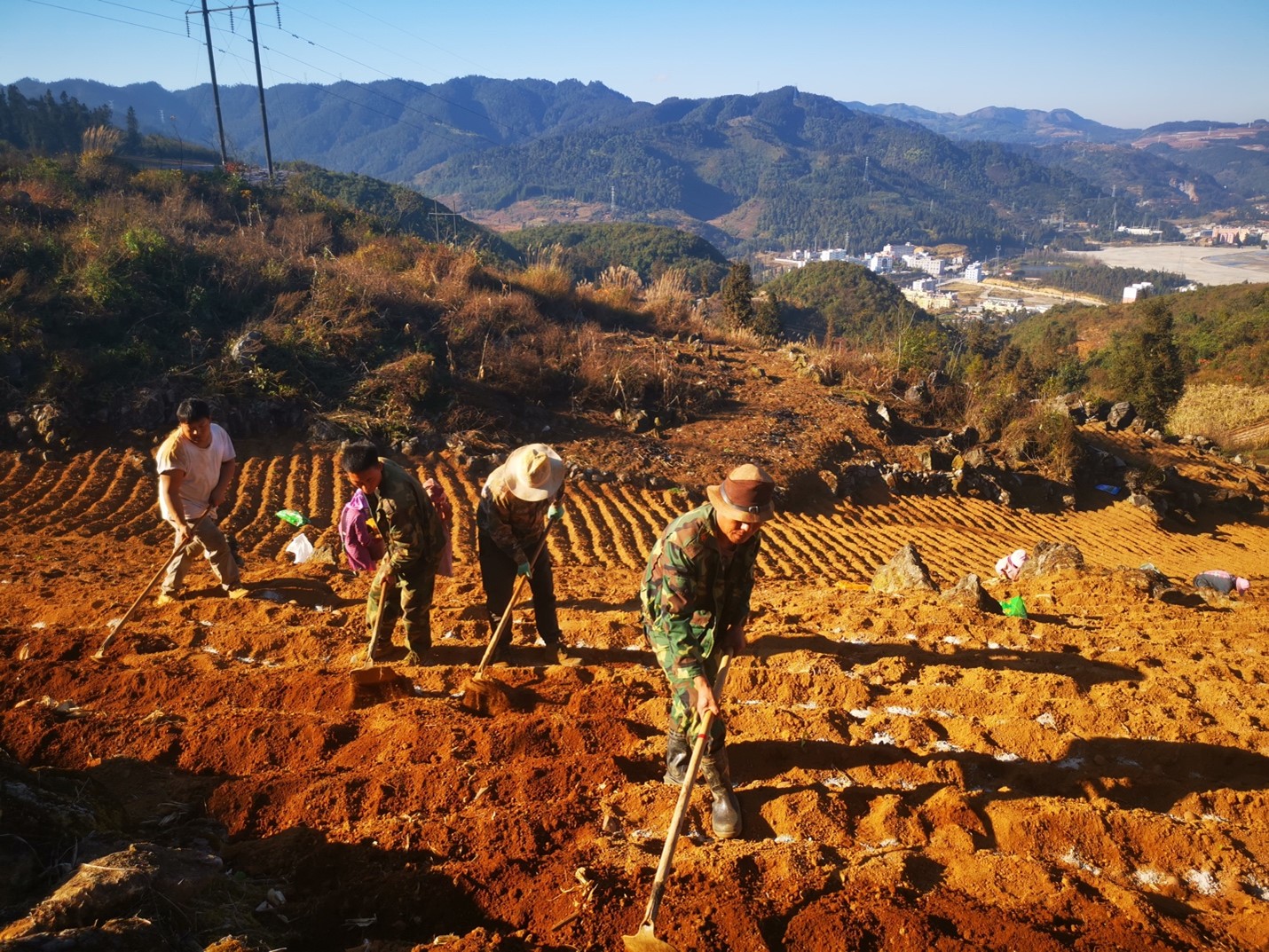Hilling the seed potatoes. Notice the topography..jpg